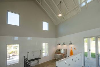 Dog spa with dryers